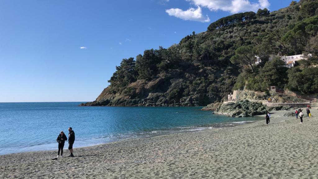 Villa Mimosa Splendida Vista Mare Bonassola Eksteriør billede
