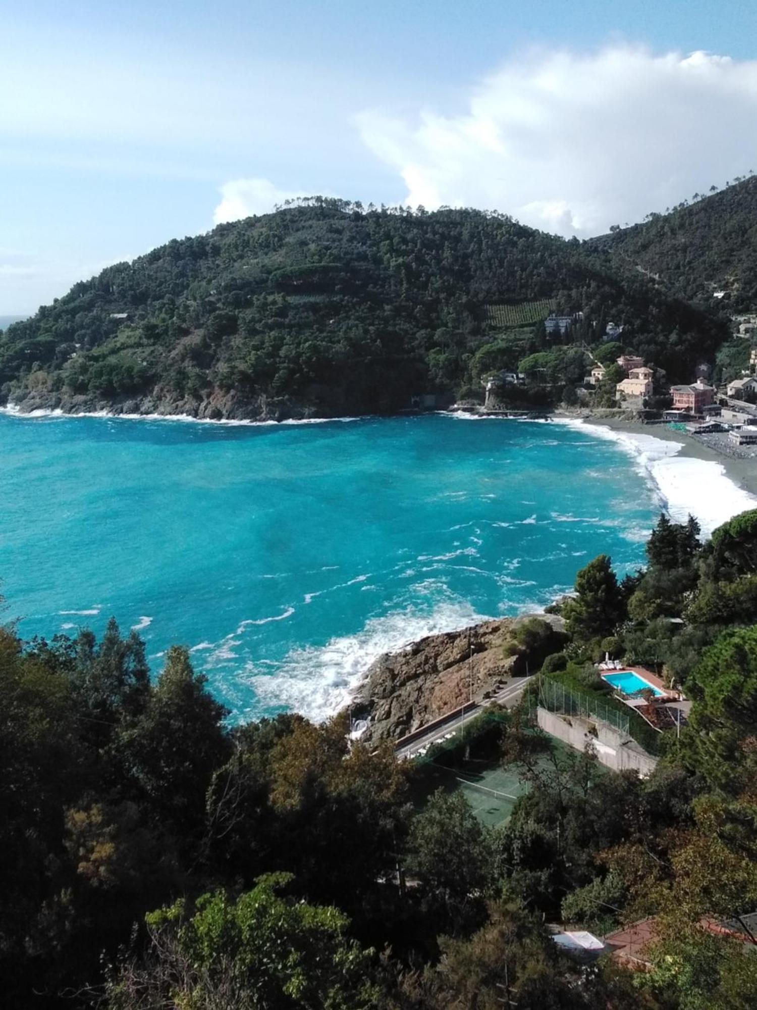 Villa Mimosa Splendida Vista Mare Bonassola Eksteriør billede