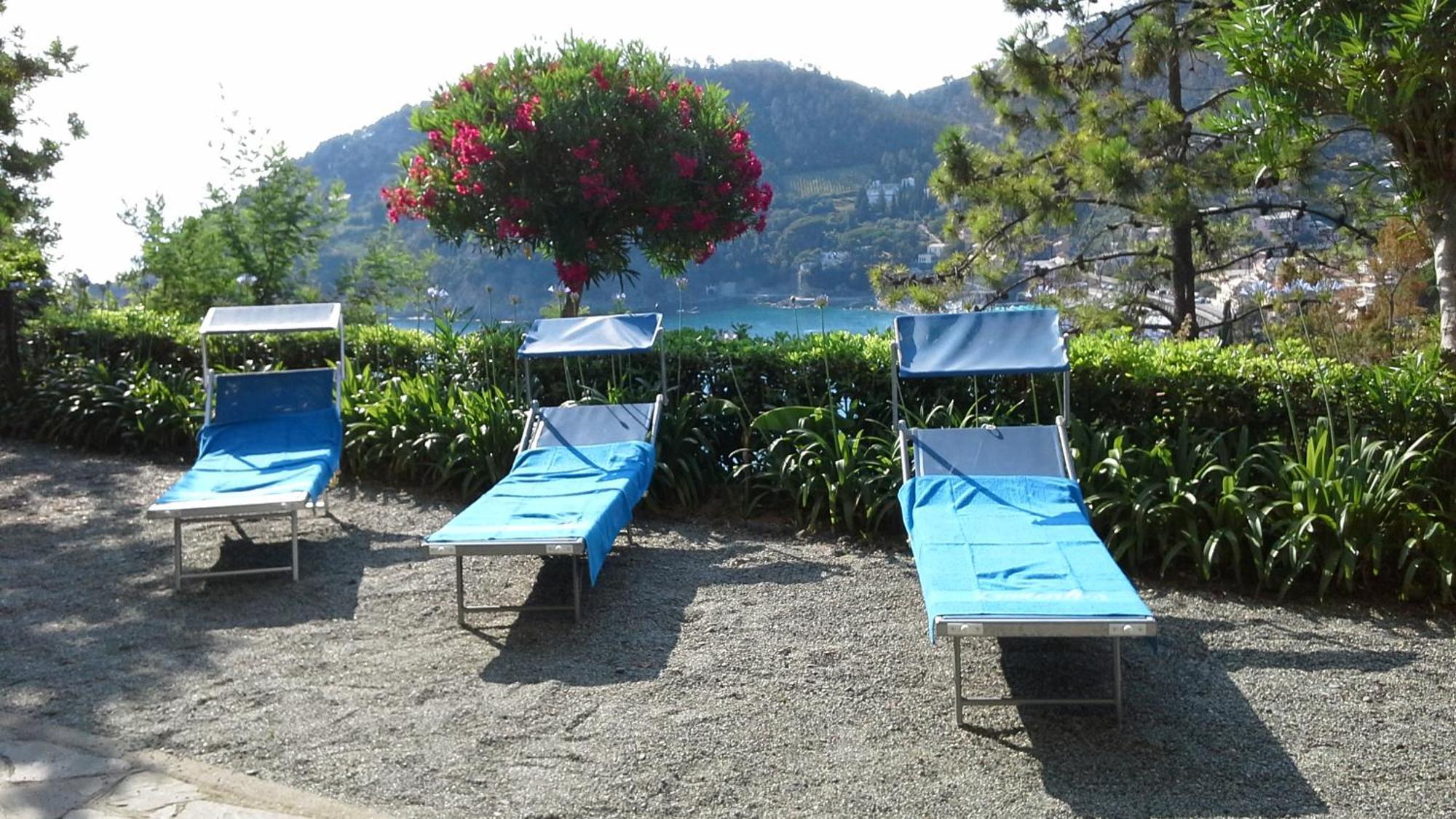 Villa Mimosa Splendida Vista Mare Bonassola Eksteriør billede
