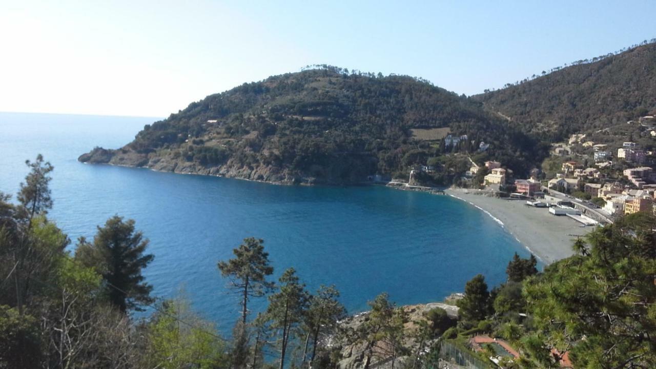 Villa Mimosa Splendida Vista Mare Bonassola Eksteriør billede